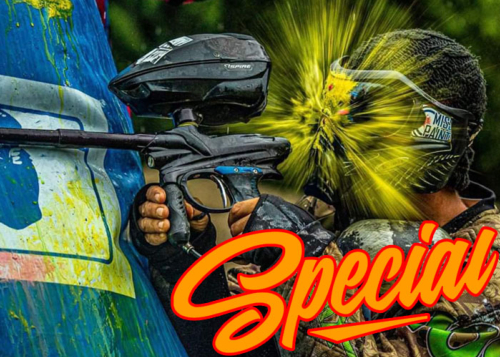 Commande spéciale révision